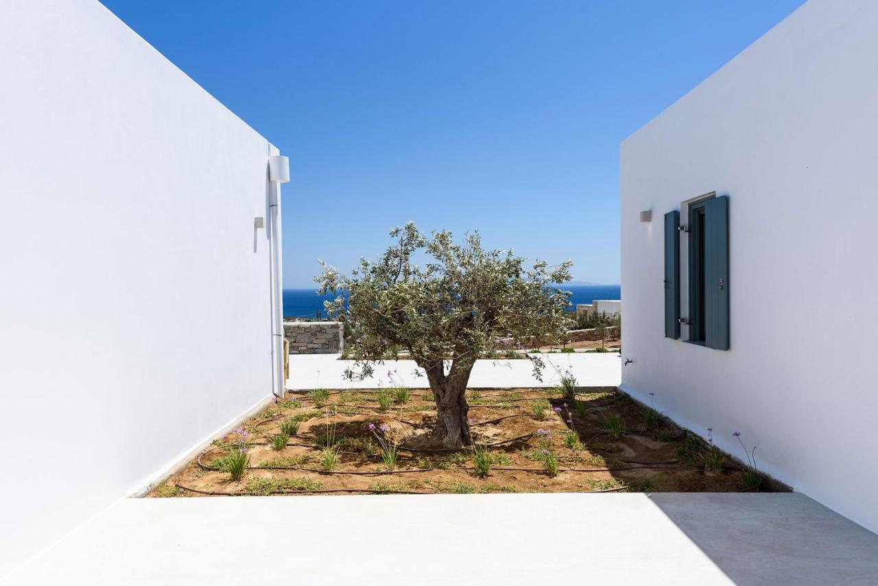 Villa Complex White And Rocks Páros Dış mekan fotoğraf